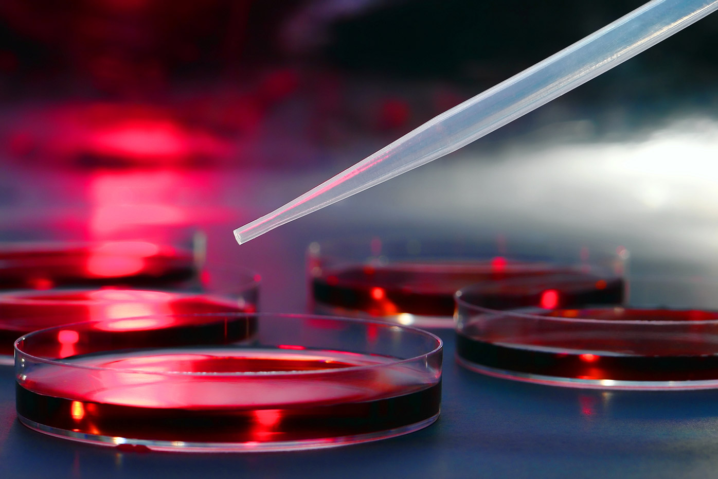 A laboratory test being conducted
